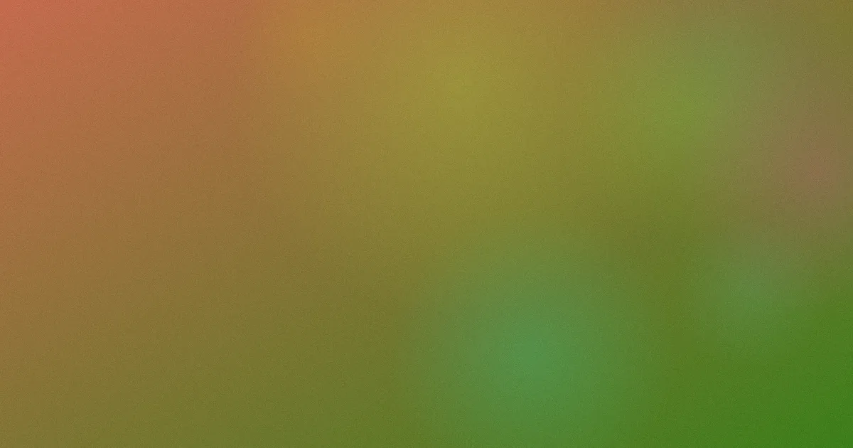 有坂深雪推荐：新手对比